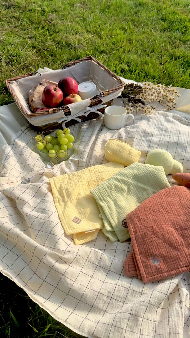 vosbos picnic cuddle cloth perfect baby gift